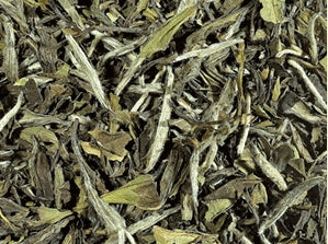 Pai Mu Tan - Cina- Tè Bianco