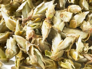 Yunnan Wild – Cina - Tè Verde