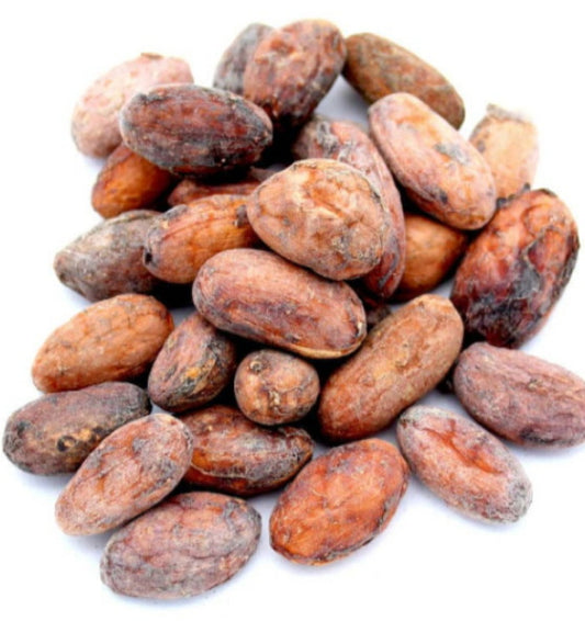 Fava di Cacao - Spezie